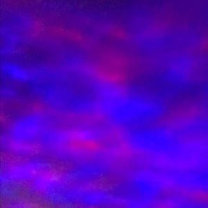 Meet your Posher, Lanny